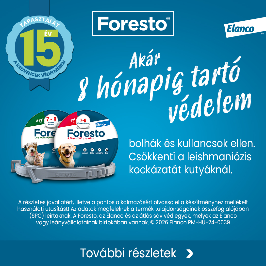 Heti akció
