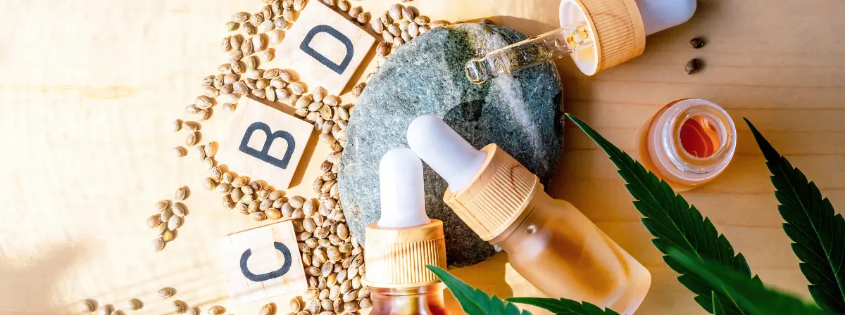 CBD olaj kutyáknak: amit valóban tudnod kell róla