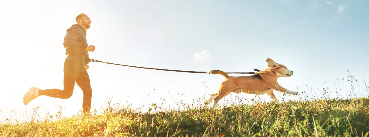 Longevity kutyáknál és gazdinál – Sportoljunk együtt!  